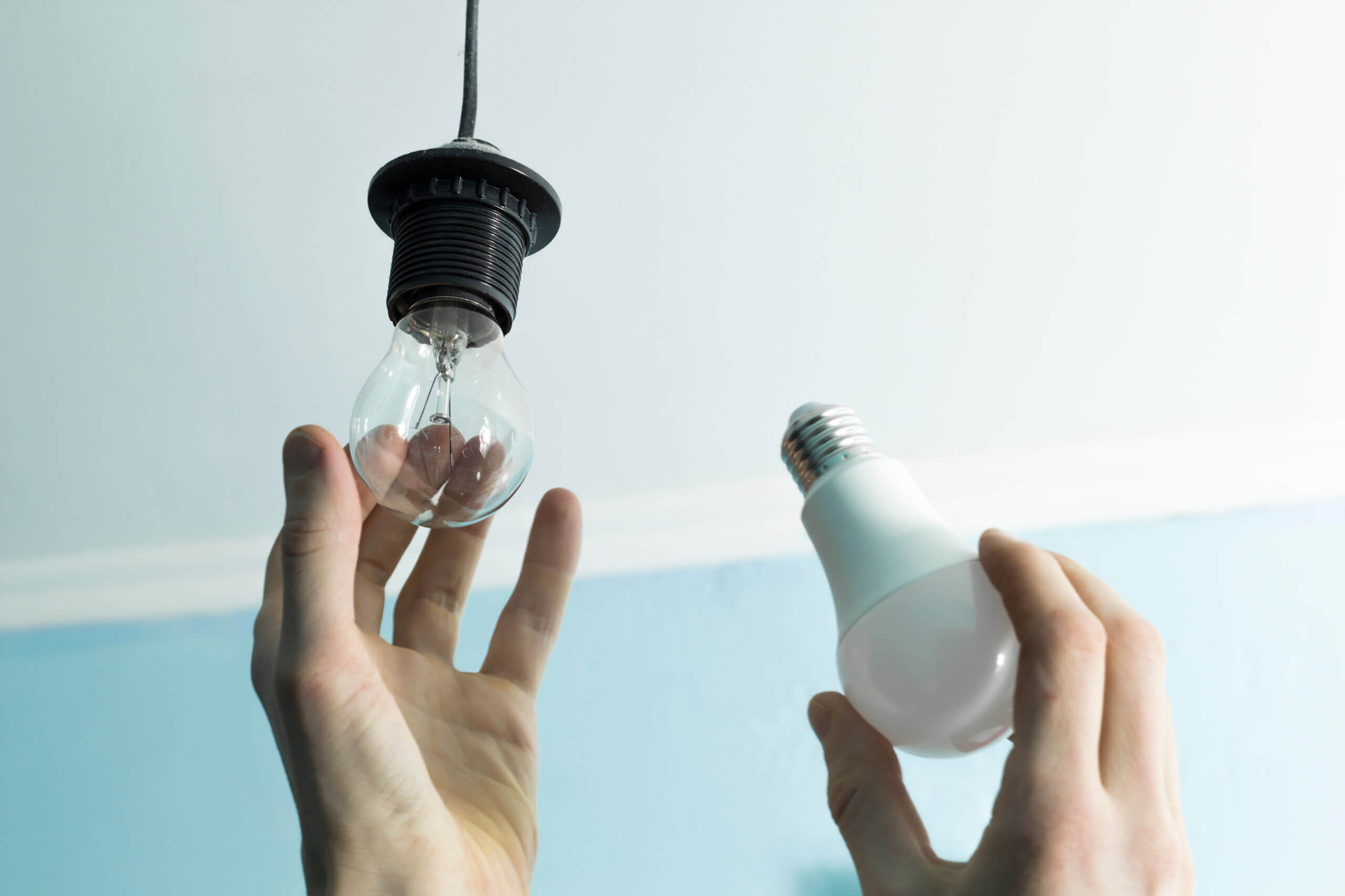 Guide d'achat : quelle ampoule basse consommation choisir pour votre  entreprise ? - Manutan blog