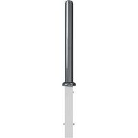 Borne décorative 480B amovibleet serrure profilée 1 anneau-Schake