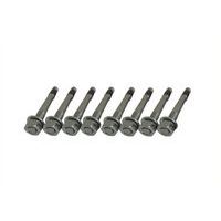 Vis de montage type 3 avec cheville de fixation - Lot de 8 - Schake