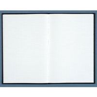 Registre standard quadrillé 297 x 210 mm - Le Dauphin