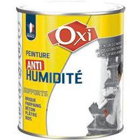 Peinture anti-humidité - 2.5 L