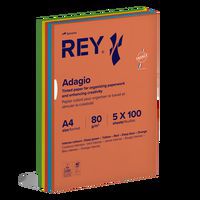 Ramette 500 feuilles A4 80g 5 teintes vives assorties - Rey