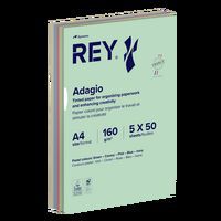 Ramette 250 feuilles A4 160g 5 teintes pastels assorties - Rey