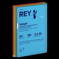 Ramette 250 feuilles A4 160g 5 teintes vives assorties - Rey