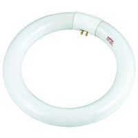 Ampoule de rechange 22 W pour lampe loupe - Manutan