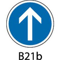 Panneau de signalisation d'obligation - B21b - Direction obligatoire à la prochaine intersection : tout droit