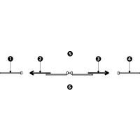 1 - panneau rigide 2 - porte coulissante à gauche 3 - porte coulissante à droite 4 - panneau rigide 5 - extérieur 6 - intérieur