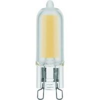 Ampoule LED compacte G9 T13 2 à 3W - SPL