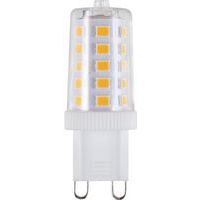 Ampoule LED compacte G9 T16/T17/T18 non-dimmable - SPL
