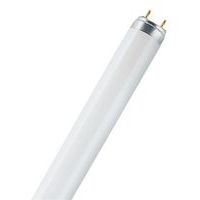 Tube fluorescent - Lumilux T8 18 W - Osram