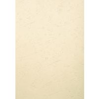 Paquet de 100 couvertures grain cuir pour reliure A3 - Exacompta