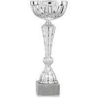 Coupe argent économique