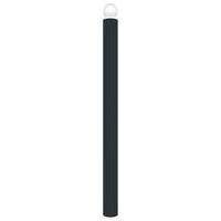 Potelet Opus tête boule - anthracite 7016 /blanc Rossignol Pro