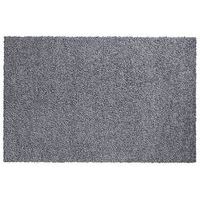 Tapis antisalissure Mirande
