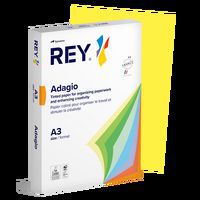 Ramette couleur vive 500 feuilles 80g A3 à la teinte - Rey