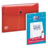 Lot De 10 X 100 Fiches Bristol Exacompta – 148x210 Mm, Quadrillé 5x5, Perforées, Couleurs Assorties
