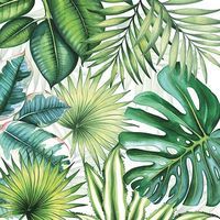Serviette Tropical leaves - 33cm - Ambiente