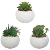 Plantes succulentes artificielles pot rond - Alba