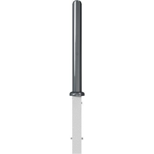 Borne décorative 480B amovibleet serrure profilée 1 anneau-Schake