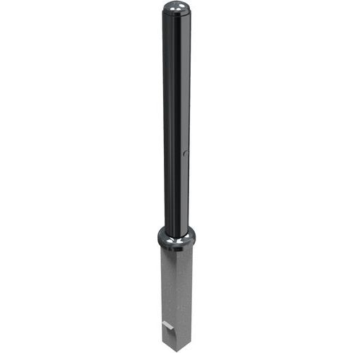 Borne décorative 480B amovibleet serrure profilée à pistons-Schake Borne décorative 480B amovibleet serrure profilée à pistons-Schake