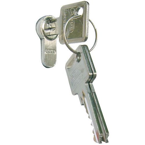 Clé avec carté de sécurité de serrure cylindrique profilée - Schake Clé avec carté de sécurité de serrure cylindrique profilée - Schake