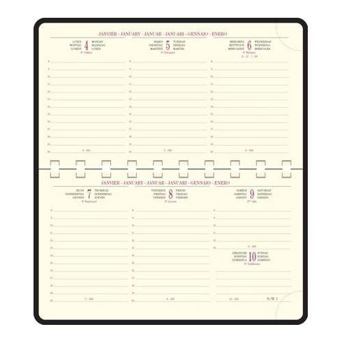 Recharge agenda Temporel 16S 9x16 - Exacompta