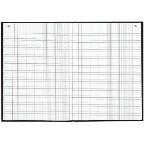 Piqûre et registre standard journal - Le Dauphin
