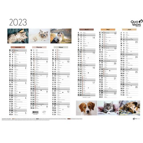 Calendrier 2023 FANTAISIE 55X40,5 animaux par 10 - Quo Vadis - Manutan.fr