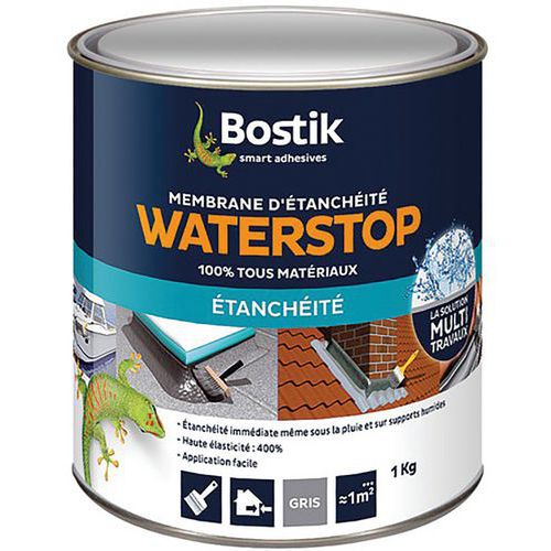 Water Stop Boite 1Kg - Bostik