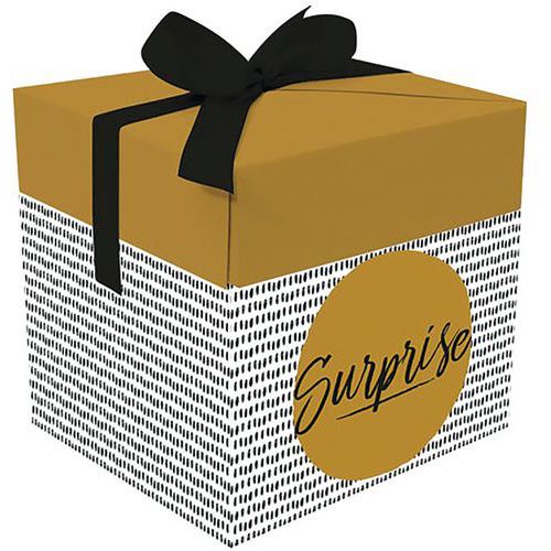 Boite Cadeau Popup Surprise 15X15X15Cm - Papeterie Du Poitou