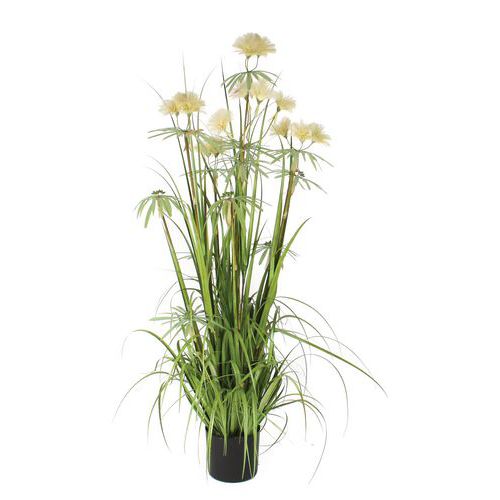 Herbe à panicule pom pom 150cm - Vepabins