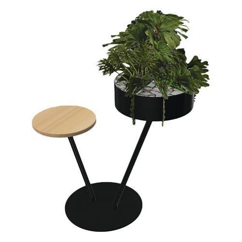 Babylone 2 branches 1 tablette bois + 1 Succulente Babylone 2 branches 1 tablette bois + 1 Succulente