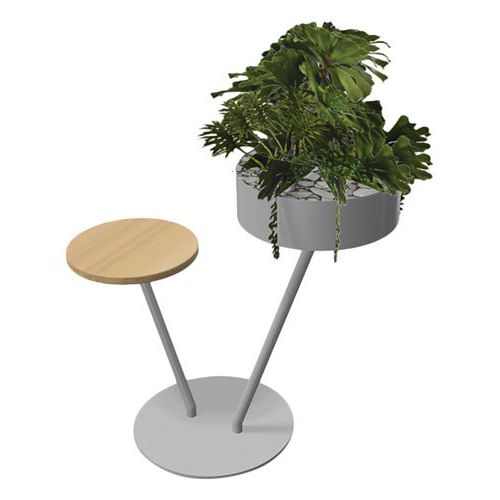 Babylone 2 branches 1 tablette bois + 1 Succulente