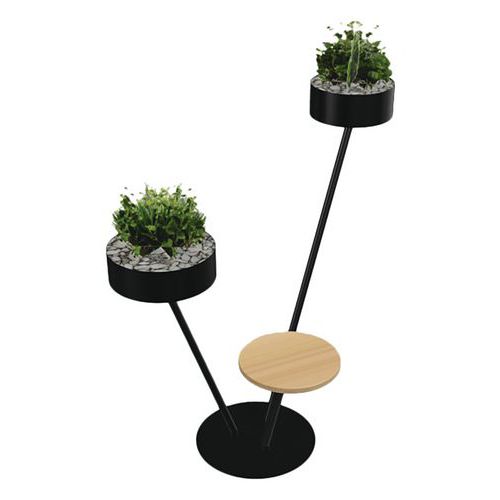 Babylone 3 branches 1 tablette bois + 2 Aromatique