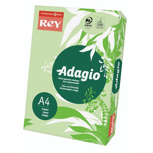 Ramette Adagio 200 feuilles - 80 g- Couleur vives - Rey