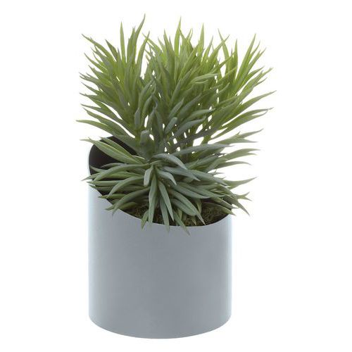 Pot à poser VAGUE Senecio Pot à poser VAGUE Senecio
