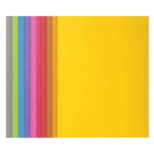 Chemise vive Rocks 220 - Carte 210 g - Format 24x32 cm - Paquet de 100 - Exacompta
