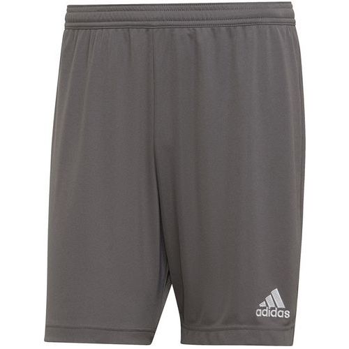 Short - adidas - entrada 22 gris
