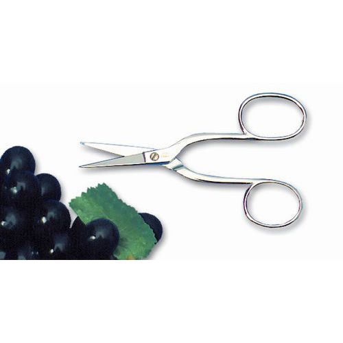 Ciseaux à oursins ou à raisins_Matfer