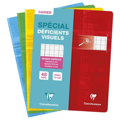 Cahier 90g 48pages seyes 2,5 mm agrandi 10/10 17x22cm - Clairefontaine