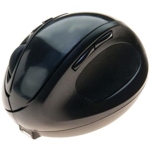 Souris ergonomique sans fil nano USB rechargeable noire