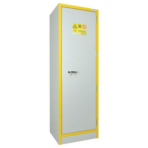 Armoire sécurité 30 mn pour produit inflammable Trionyx
