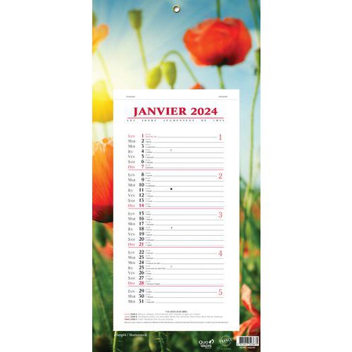 Calendrier bloc mensuel - 16 x 33,5 cm - Année 2024 - Quo Vadis Calendrier bloc mensuel - 16 x 33,5 cm - Année 2024 - Quo Vadis