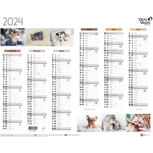 Calendrier 2024 FANTAISIE 43X33,5 animaux par 10 - Quo Vadis