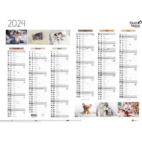 Calendrier 2024 FANTAISIE 55X40,5 animaux par 10 - Quo Vadis