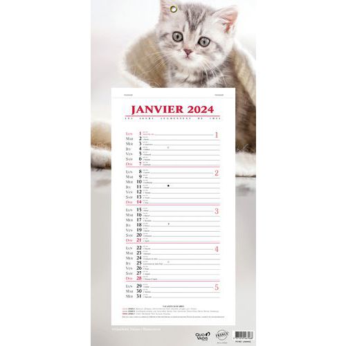 Calendrier 2024 BLOC MENSUEL 16X33,5 Animaux p10 - Quo Vadis