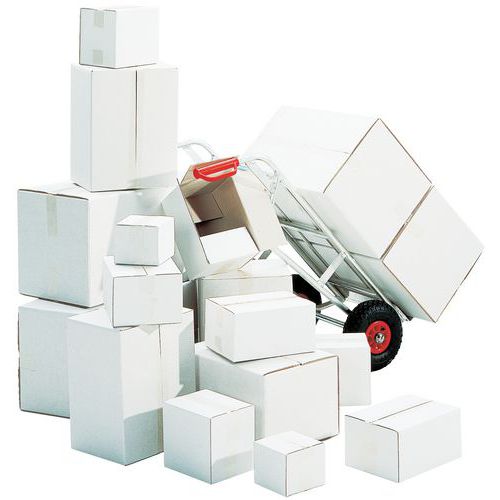 Carton 320 x 225 x 50 mm maxibriefkartons boite carton Post en blanc