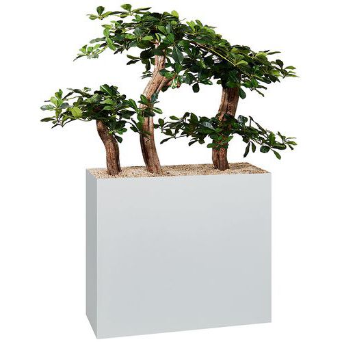 Jardinière métal sur roulettes hauteur 74 cm Bonzaï