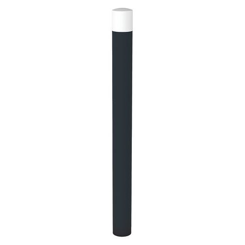 Potelet Ténor tête bombée - anthracite 7016/blanc Rossignol Pro