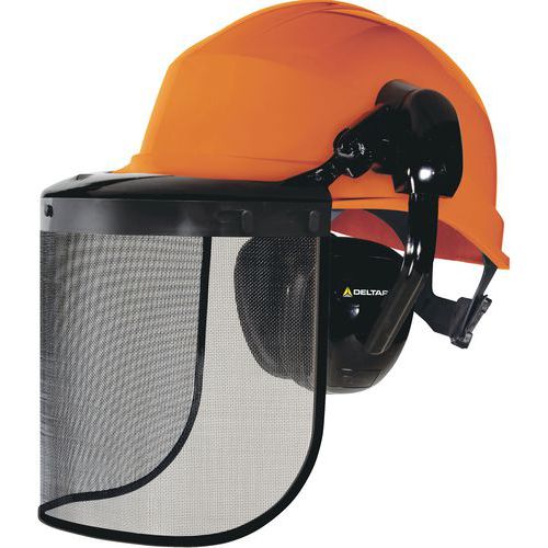 Casque type forestier complet